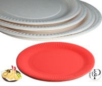 Eco-Friendly Paper Plates and Cups – Durable, Disposable Tableware | Panorama Packing